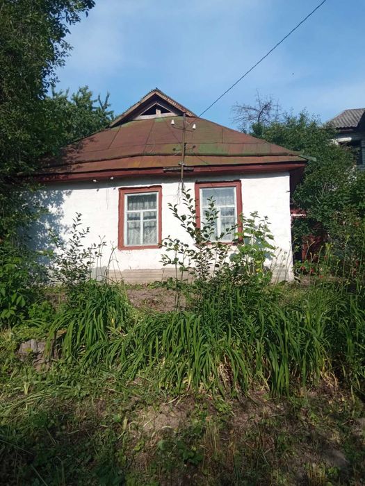 Хата і будинок без внутрішніх робіт с.Гуляй Городок
