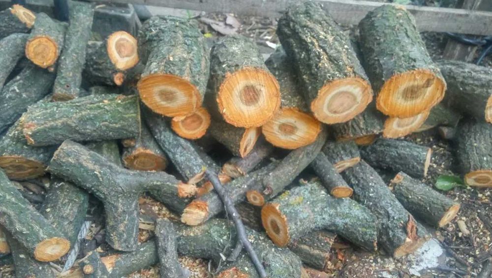 Продам Дрова Колотые/метровые Дуб Акация Ясень Берест Мешанка / Доставка