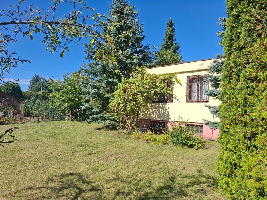 Sprzedam działkę ROD "Kolejarz" Olechów