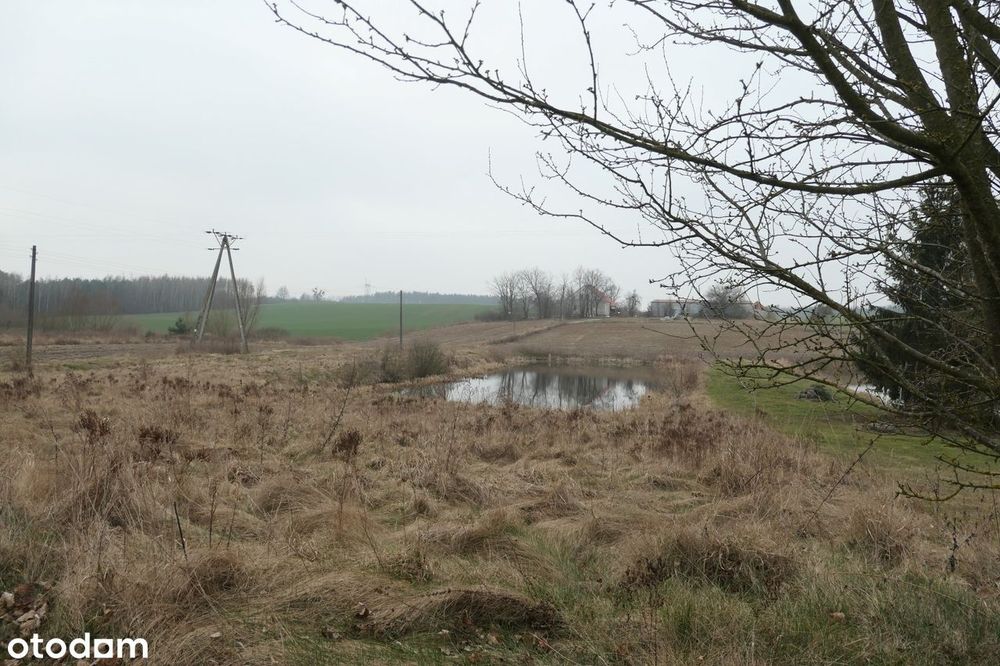 Działka blisko Kwidzyna ze stawem