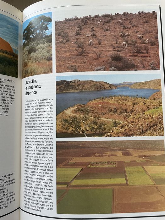 Lexicoteca - Círculo dos Leitores - 28 vol.