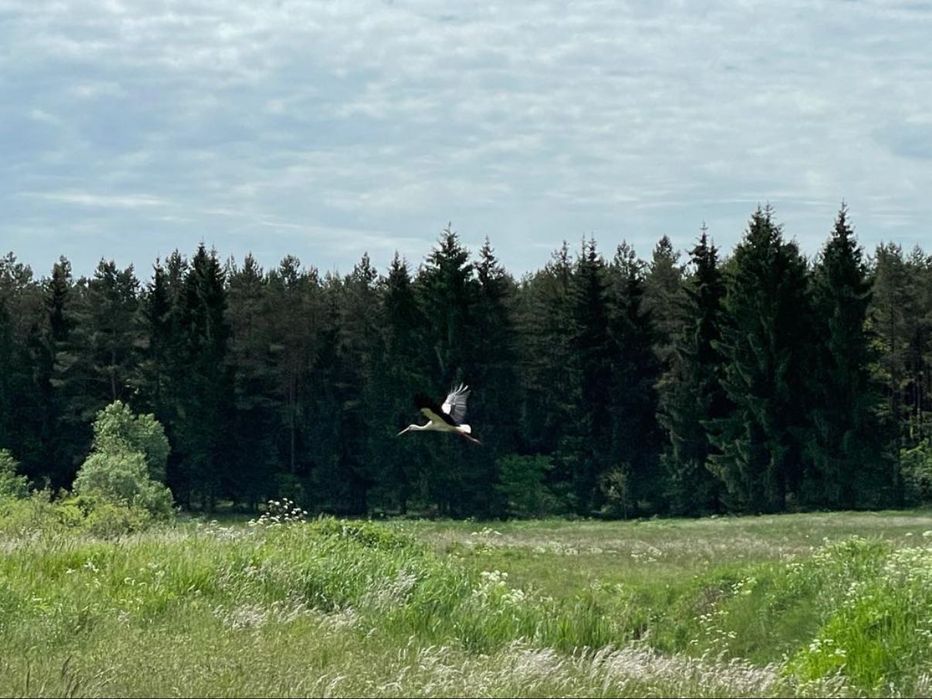 Działka rolna 3000m2 gmina Biała Piska