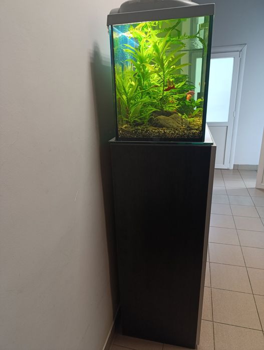 Акваріумний  повний комплект на 240л.