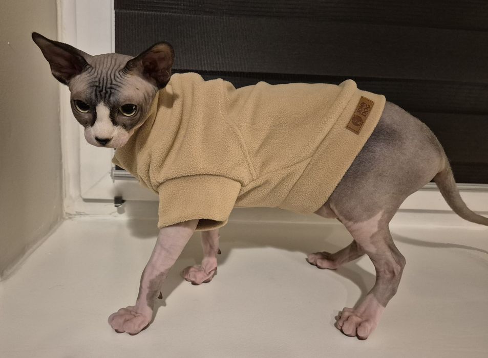 Bluza dla psa/kota z mikropolaru XS beżowa model Paris