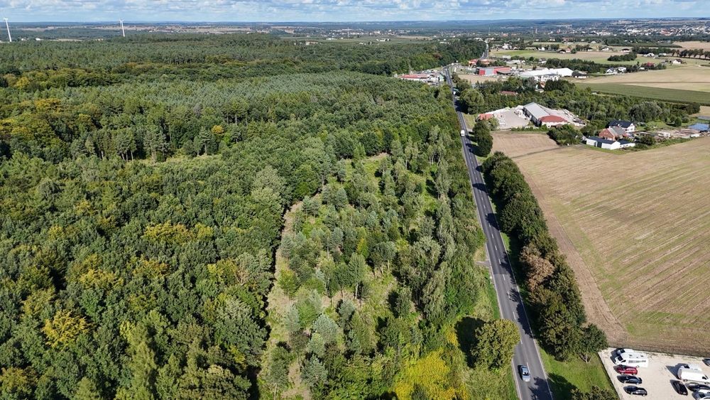 Działka inwestycyjna z MPZP przy DK15 – Szabda, gmina Brodnica - Widok 4