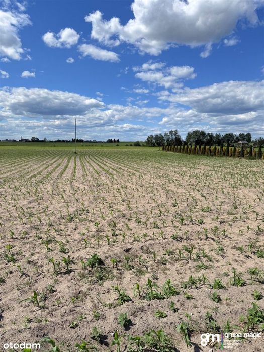 Działka budowlana 2253 m²| Wałycz, Wąbrzeźno
