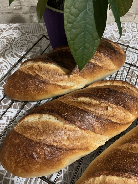 Хліб на заквасці