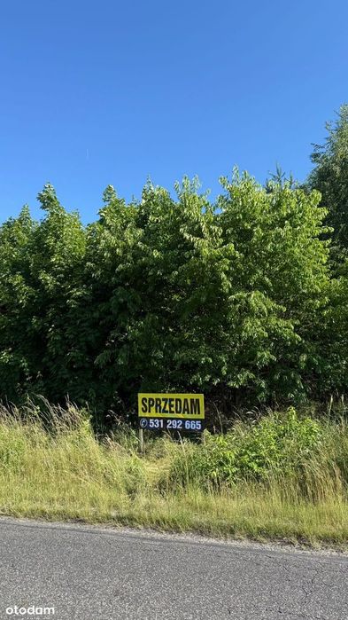 Działka 15 242 m² z częścią budowlaną 2 100 m² ,MPZP , 23 min od Cz-wa - Widok 5