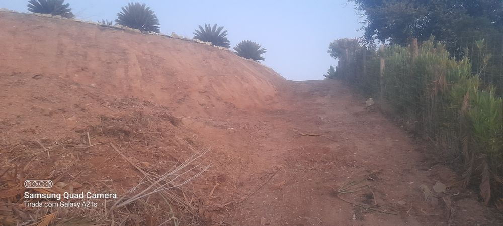 jardinagem e limpeza de terrenos