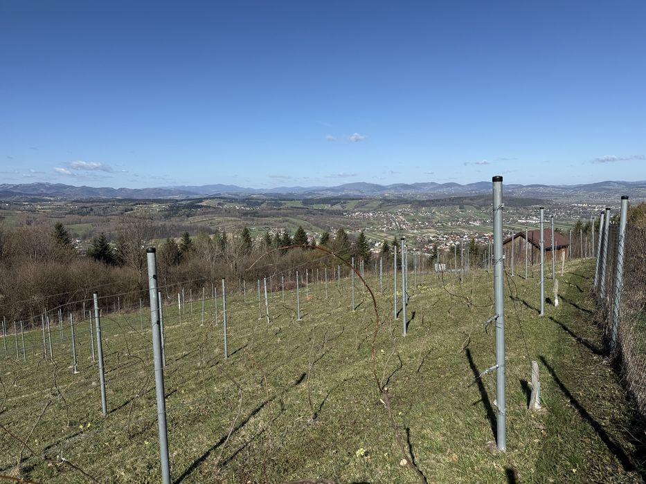 Działki rolno-widokowo, Popowice Stary Sącz - Widok 4