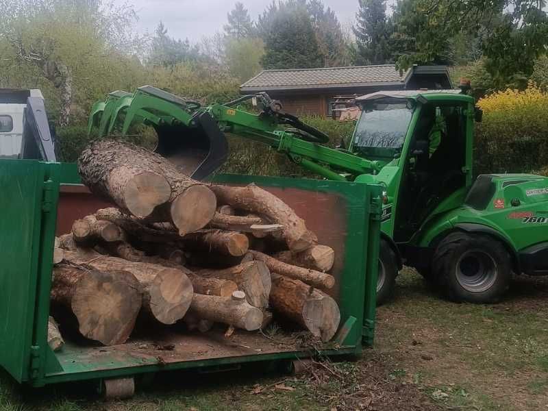 Wycinka drzew i frezowanie pni Płochocin, Błonie, Ożarów Mazowiecki