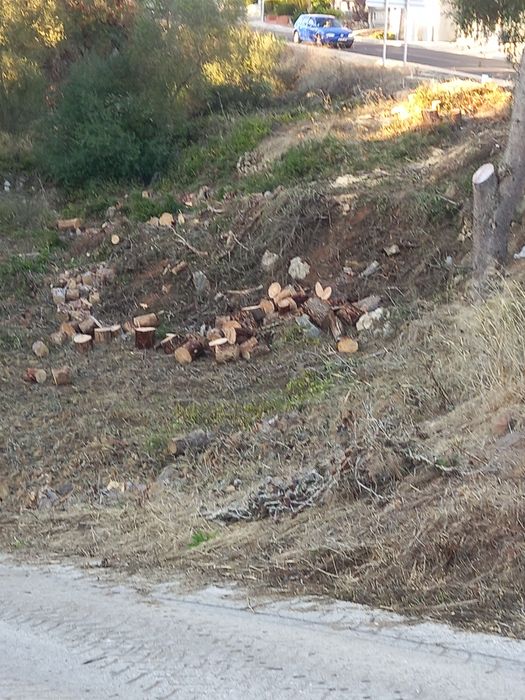 Trabalhos de limpeza de terrenos, vedação e outros