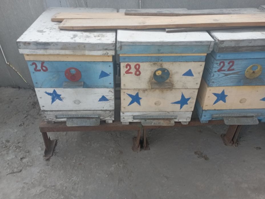 Улья корпусные для пчел