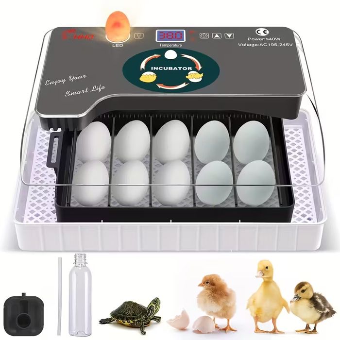 Inkubator automatyczny na 12 jajek