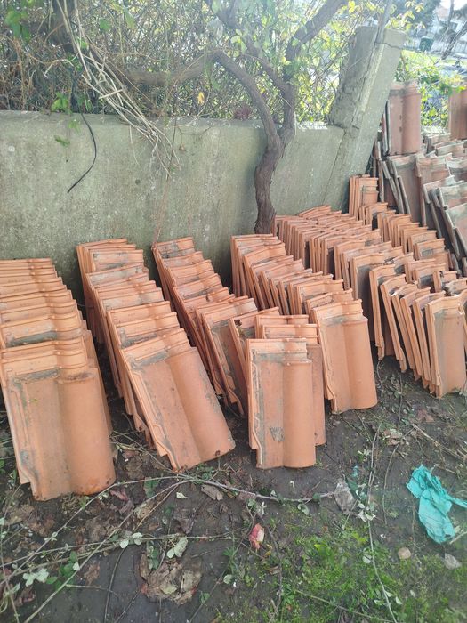 Telha Coelho da Silva Juncal Portugal