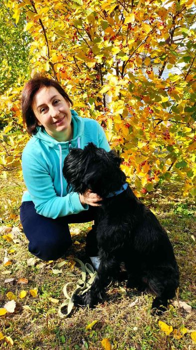 Индивидуальная домашняя передержка собак любых пород