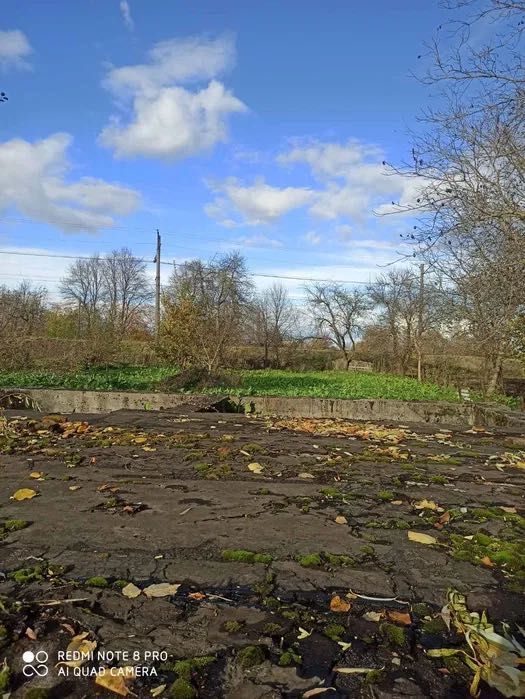 Будинок з ділянкою в с. Бучали