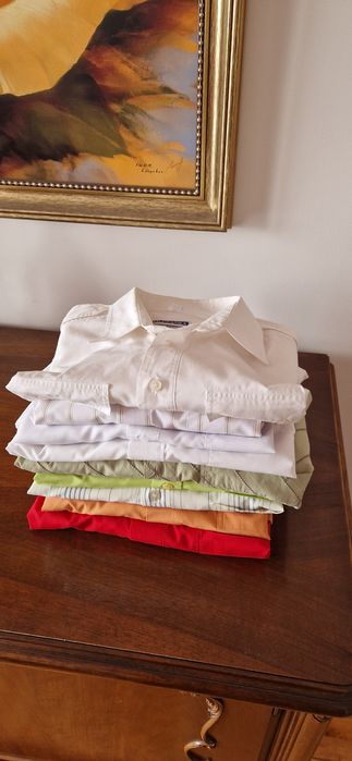 Eleganckie koszule z krotkim rękawem