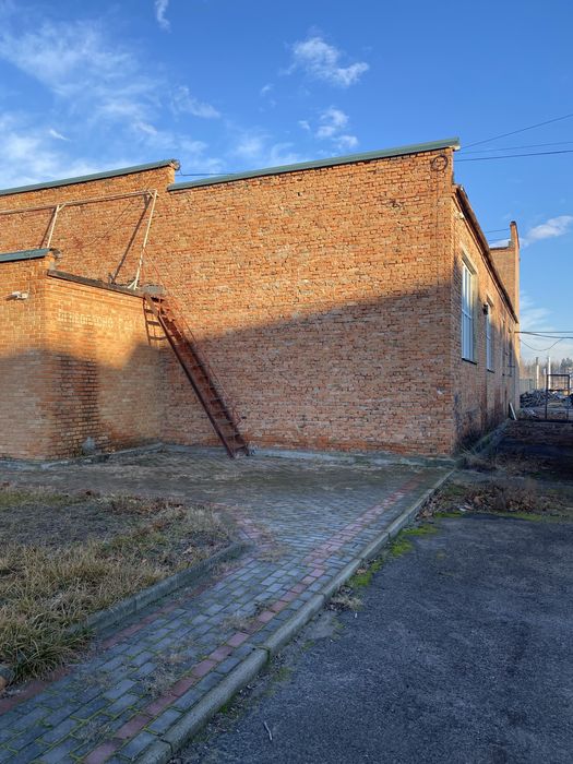 Будівля для бізнеса