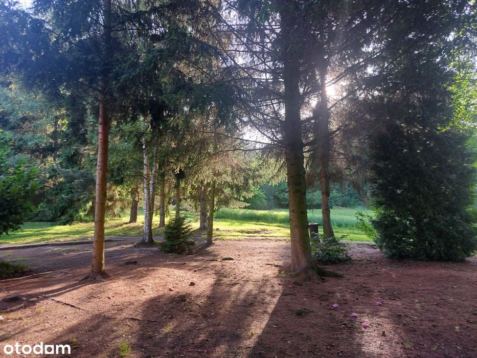 Wyjątkowy Dom Otulony Zielenią
