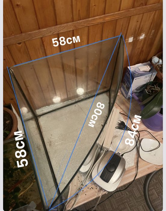 Аквариум трикутний