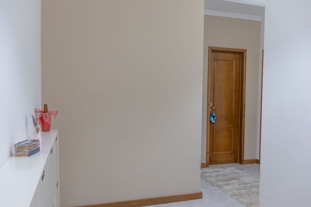 Apartamento t1+1 canedo