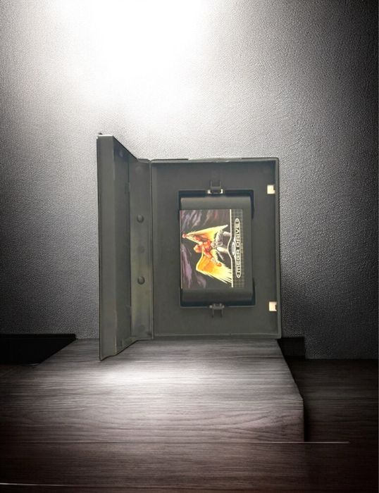 Sega Mega Drive Gynoug Game64284484736387122