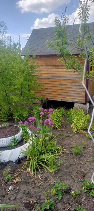 Продам Апидомик. Домік на  чотирі вулика. Е лежанка.