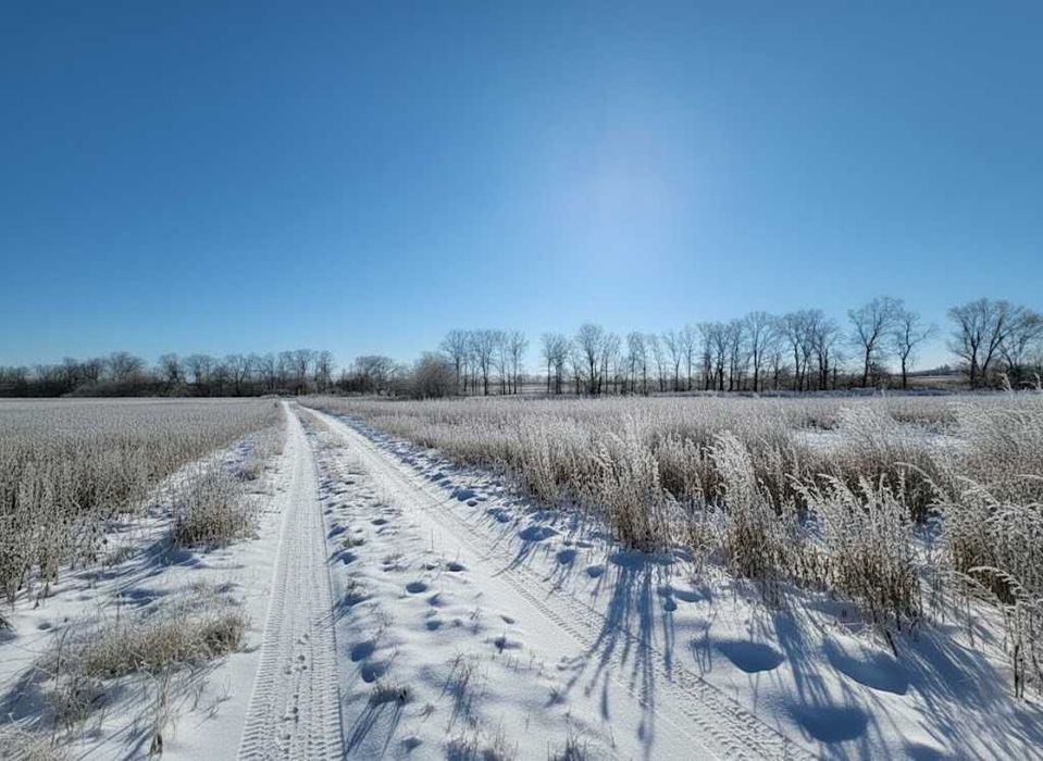 Продаж земельної ділянки 71 сотка - ОСГ. До траси - 100 метрів. ID:608