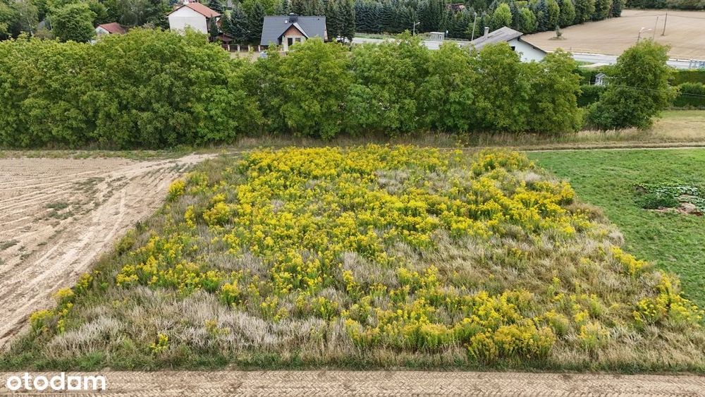 Działka 16,69 ar | Domiarki | budowlano-zagrodowa - Widok 4
