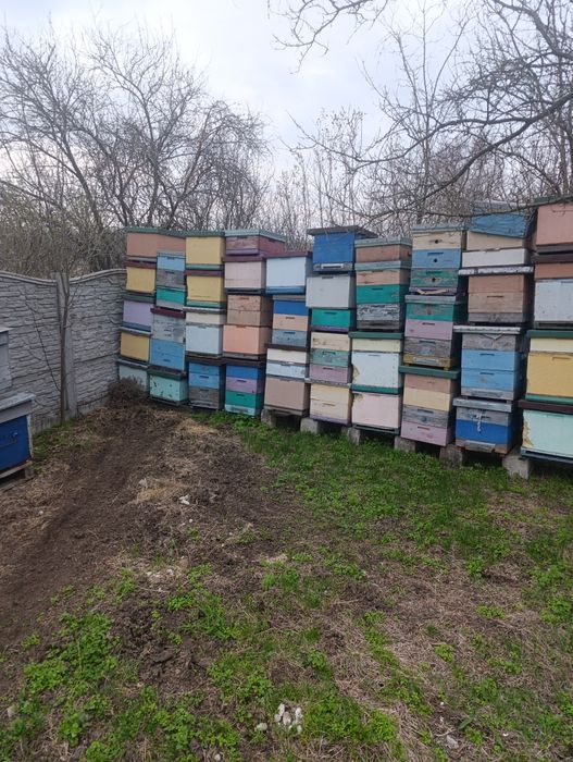 Продам улики дадан в хорошем состоянии