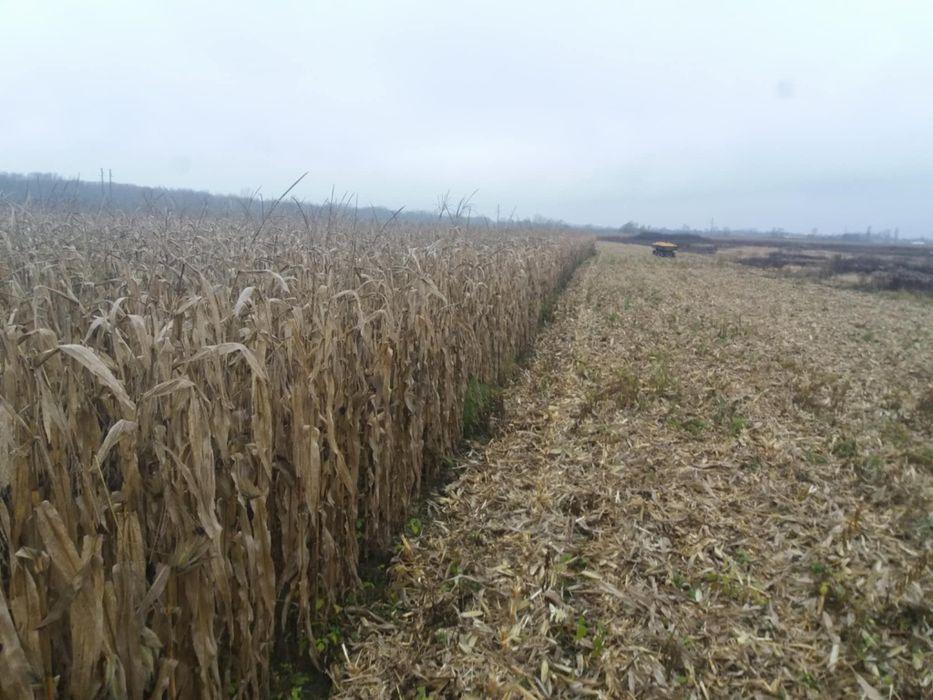 Продам комбайн Sip Tornado 80