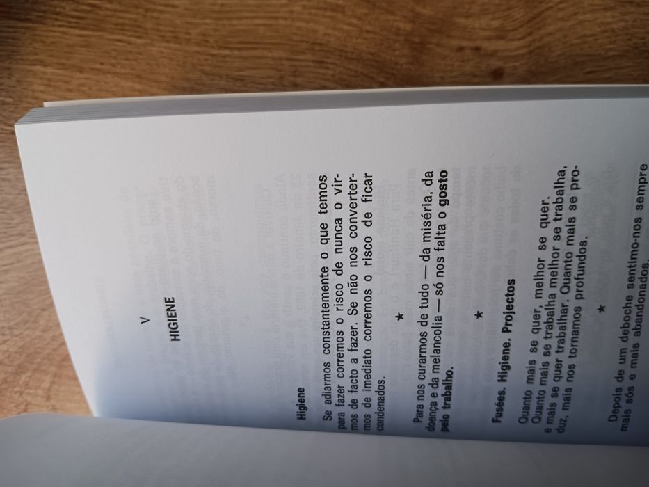 Charles Baudelaire, Escritos Íntimos