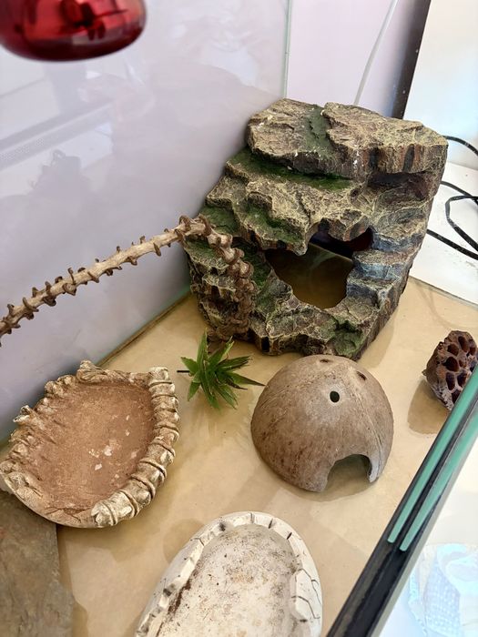 Terrarium 60x30x40 uzywane roczne