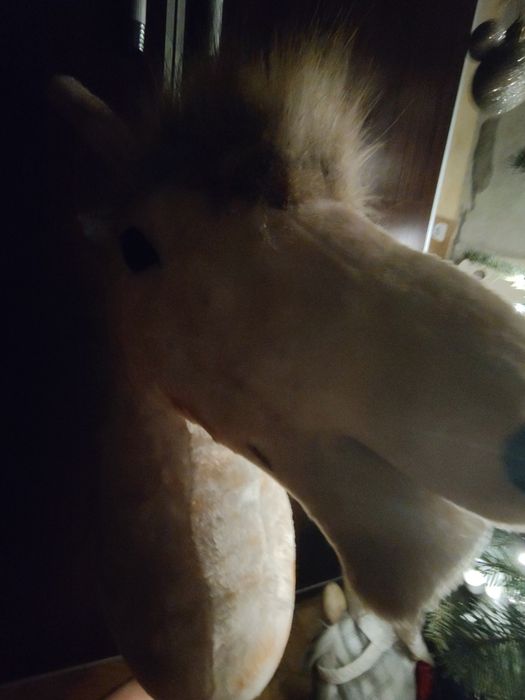 Koń hobby horse na sprzedasz