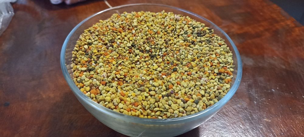 Бджолиний пилок ,обножка пчел, пчелиная пыльца,пыльцезборник