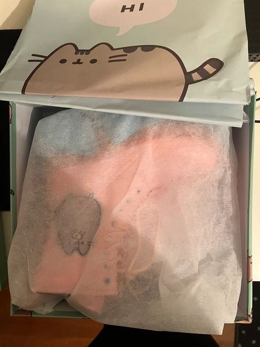 Botas Koi Footwear x Pusheen