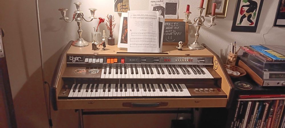 Órgão Tiger rock n roll