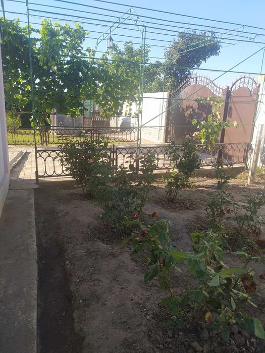 Чудовий будинок на 20 сотках землі біля р. Турунчук.З прекрасним садом