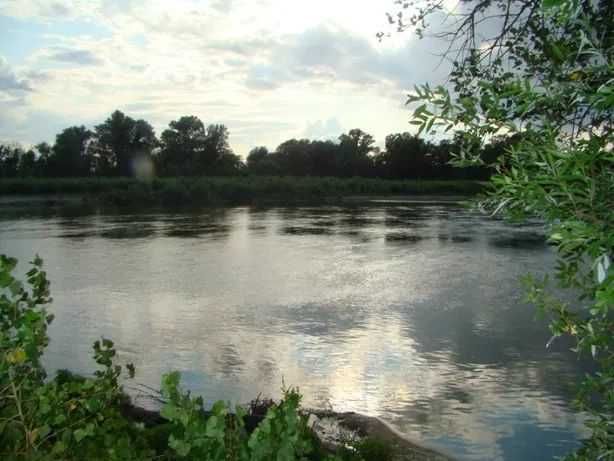 Оренда котеджу в шикарному місці на Десні подобово!!!