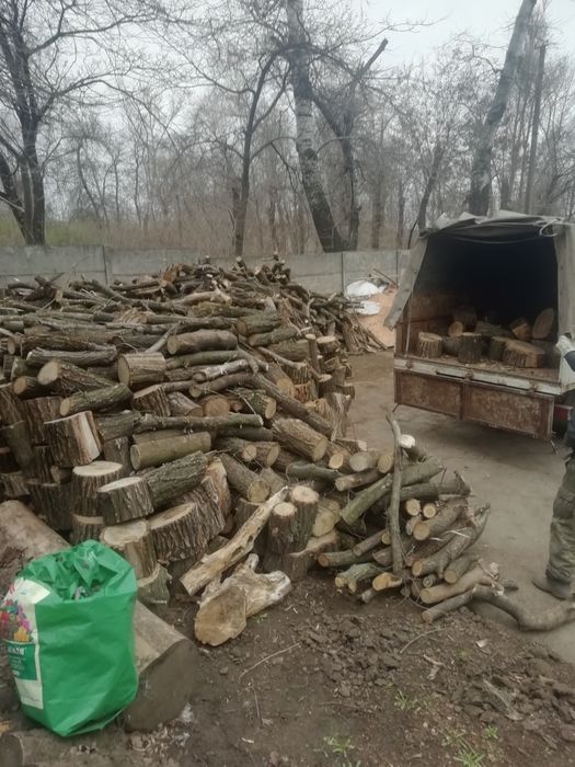 Продаю Дрова-рубанi 30см Акация Берест Ясень Сосна