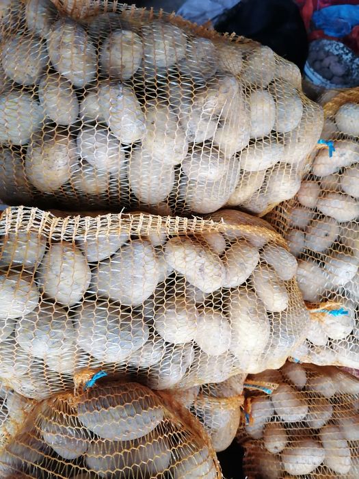 Ziemniaki worek 15 kilo wysyłka inpost prosto od rolnika