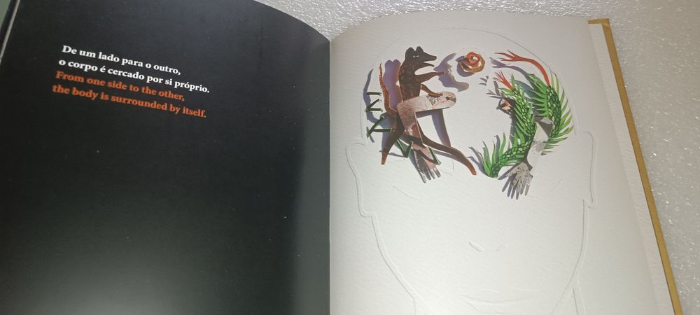 Livro arte Cristina Valadas - Mente Semente -