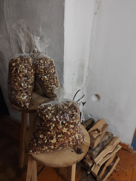 Волоські горіхи, грецькі горіхи