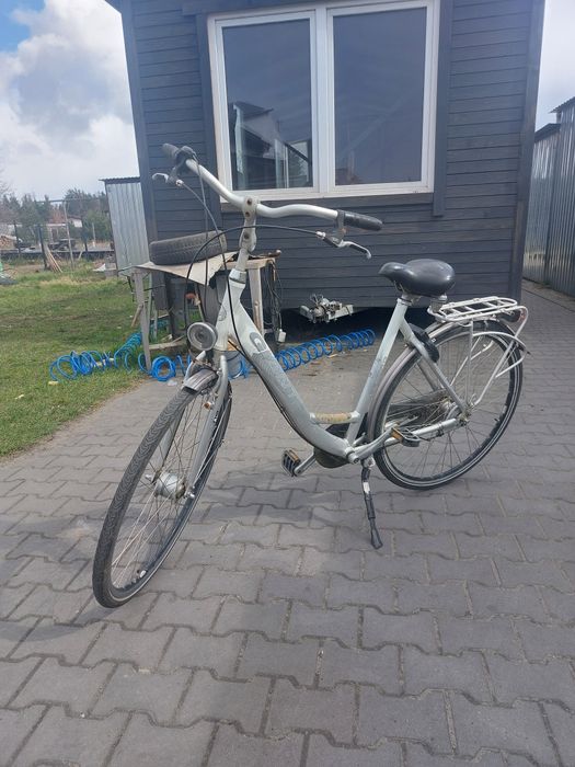 Rower holenderski Giant
