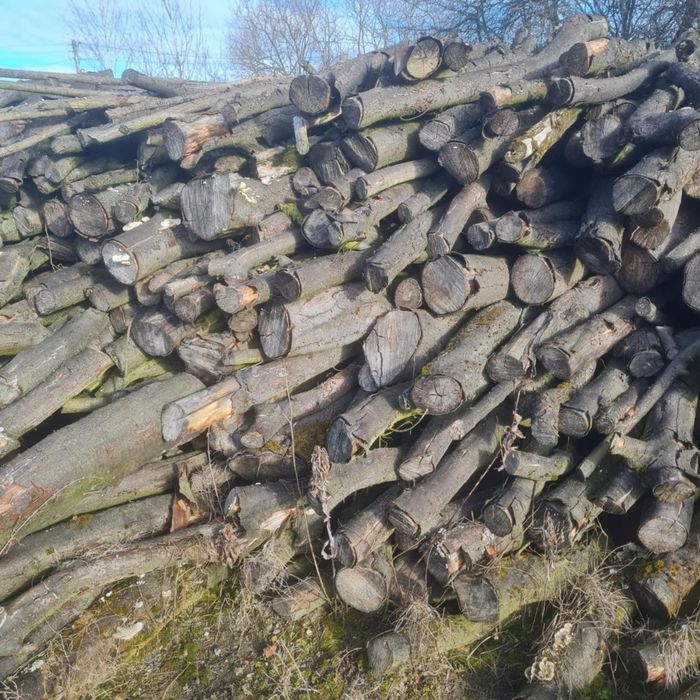 Drewno opałowe - Korczyna / twarde, kaloryczne jak dąb!