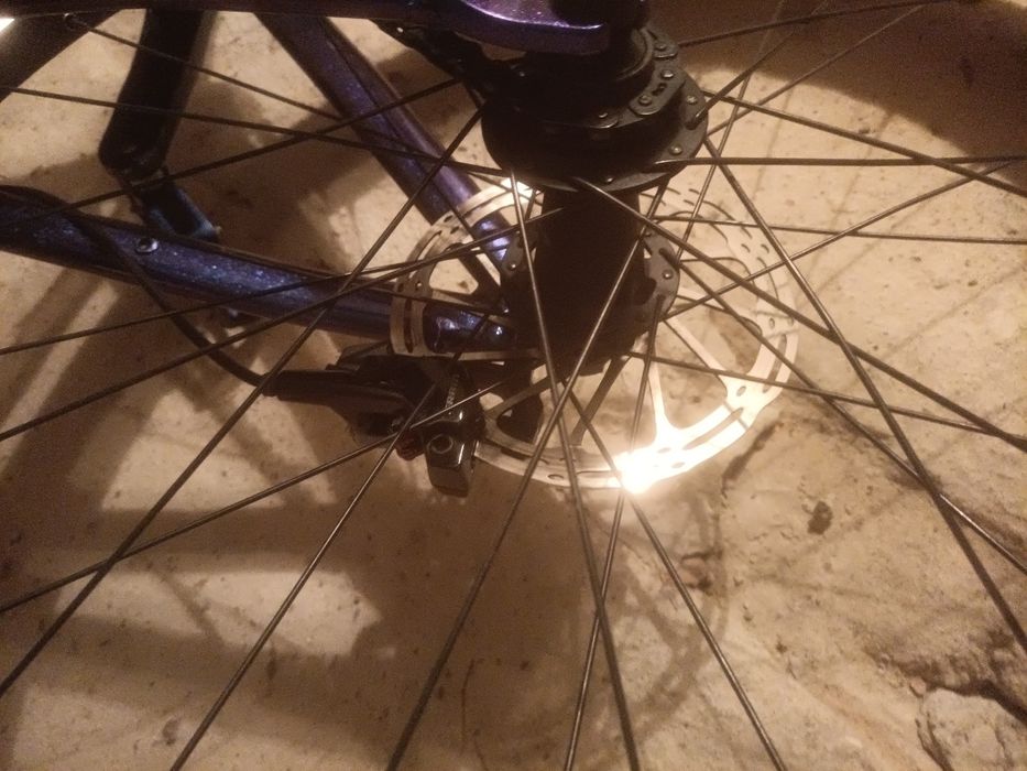 Dartmoor 26 player pro 2024