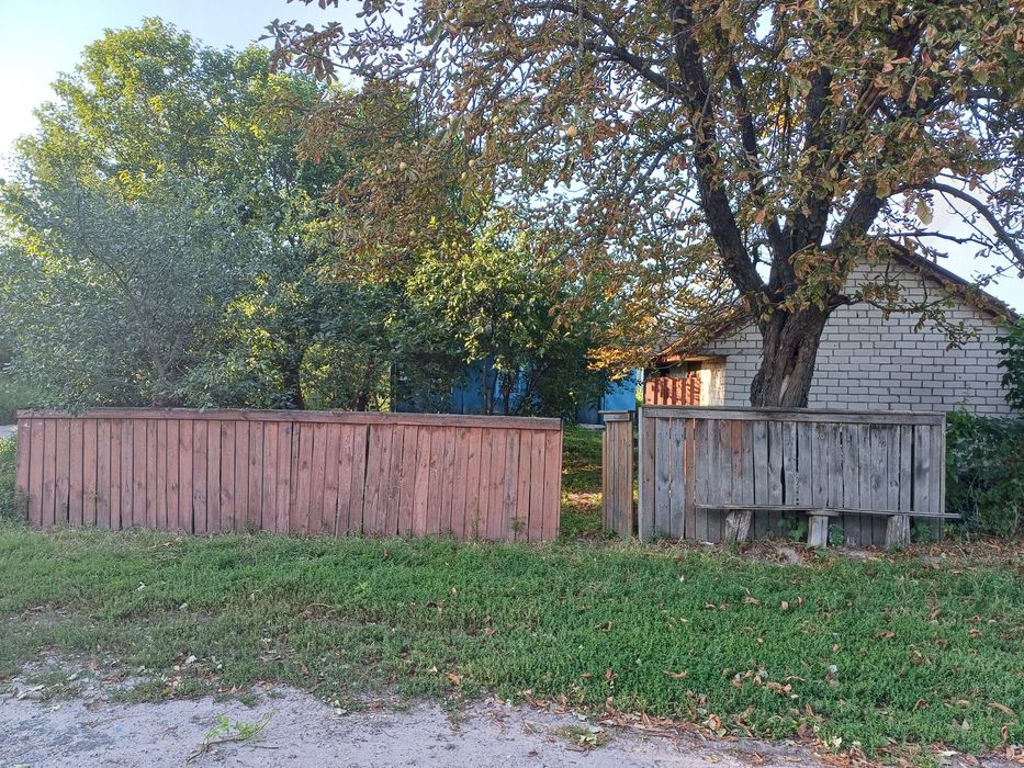 Продам будинок в с. Виблі