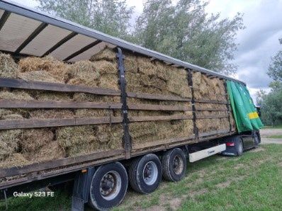 siano  kostki ściółka pokój 2025