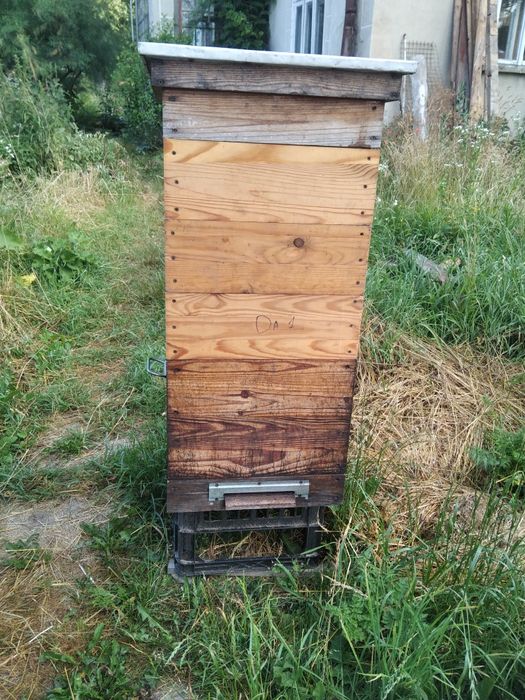 Продам вулики дадан